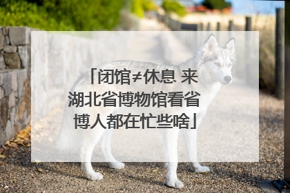 闭馆≠休息 来湖北省博物馆看省博人都在忙些啥