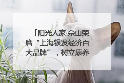 阳光人家·佘山荣膺“上海银发经济百大品牌”,树立康养行业新标杆