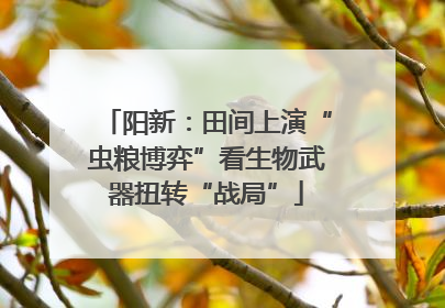 阳新：田间上演“虫粮博弈”看生物武器扭转“战局”