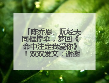 陈乔恩、阮经天同框撑伞，梦回《命中注定我爱你》！双双发文：谢谢我们都没变