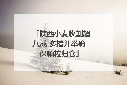陕西小麦收割超八成 多措并举确保颗粒归仓
