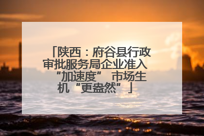 陕西：府谷县行政审批服务局企业准入“加速度” 市场生机“更盎然”