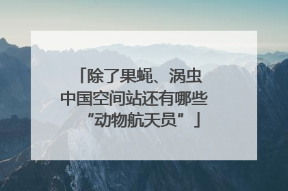 除了果蝇、涡虫 中国空间站还有哪些“动物航天员”