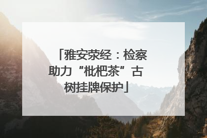 雅安荥经：检察助力“枇杷茶”古树挂牌保护