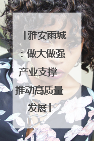 雅安雨城：做大做强产业支撑 推动高质量发展