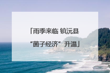 雨季来临 镇沅县“菌子经济”升温