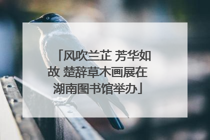 风吹兰芷 芳华如故 楚辞草木画展在湖南图书馆举办