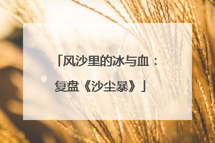 风沙里的冰与血：复盘《沙尘暴》