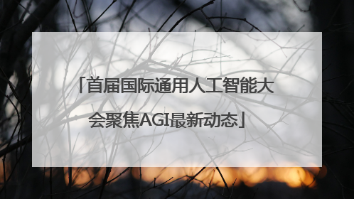 首届国际通用人工智能大会聚焦AGI最新动态