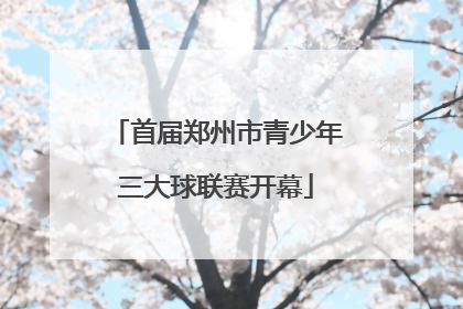首届郑州市青少年三大球联赛开幕