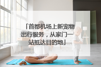 首都机场上新宠物出行服务，从家门一站抵达目的地