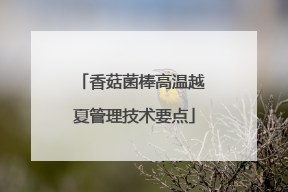 香菇菌棒高温越夏管理技术要点