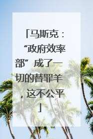 马斯克：“政府效率部”成了一切的替罪羊，这不公平