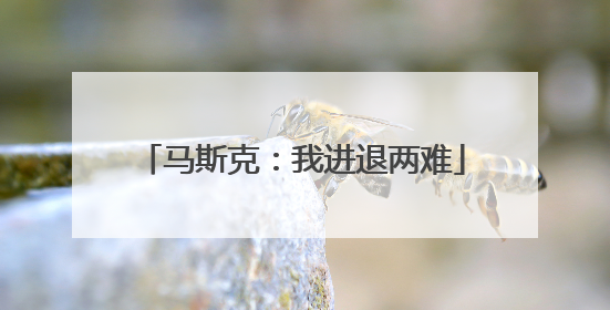 马斯克：我进退两难