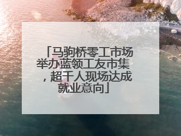 马驹桥零工市场举办蓝领工友市集，超千人现场达成就业意向