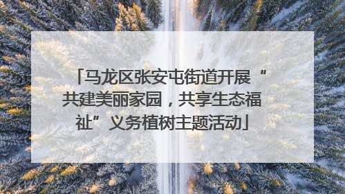 马龙区张安屯街道开展“共建美丽家园，共享生态福祉”义务植树主题活动