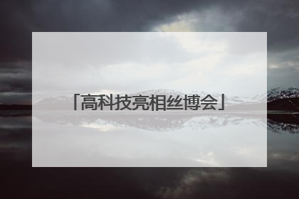 高科技亮相丝博会