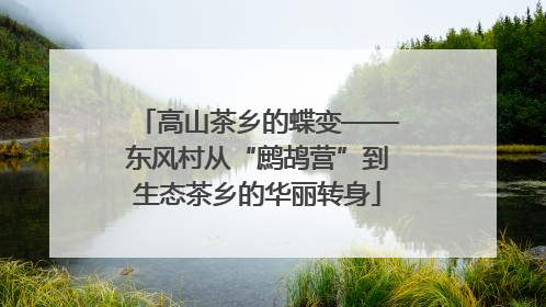 高山茶乡的蝶变——东风村从“鹧鸪营”到生态茶乡的华丽转身