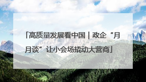 高质量发展看中国｜政企“月月谈”让小会场撬动大营商