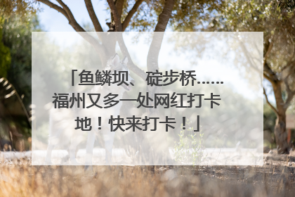 鱼鳞坝、碇步桥……福州又多一处网红打卡地！快来打卡！