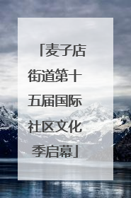 麦子店街道第十五届国际社区文化季启幕