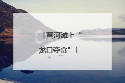 黄河滩上“龙口夺食”