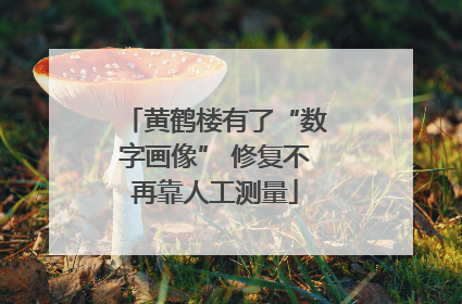 黄鹤楼有了“数字画像” 修复不再靠人工测量