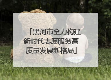 黑河市全力构建新时代志愿服务高质量发展新格局