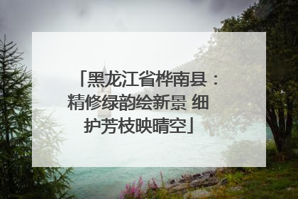 黑龙江省桦南县：精修绿韵绘新景 细护芳枝映晴空