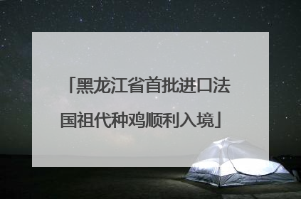 黑龙江省首批进口法国祖代种鸡顺利入境