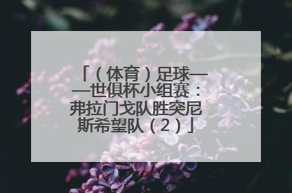 （体育）足球——世俱杯小组赛：弗拉门戈队胜突尼斯希望队（2）