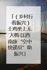 （乡村行·看振兴）土鸡坐上无人机 江西南康“空中快递员”助振兴