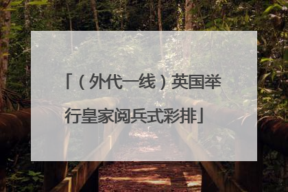 （外代一线）英国举行皇家阅兵式彩排