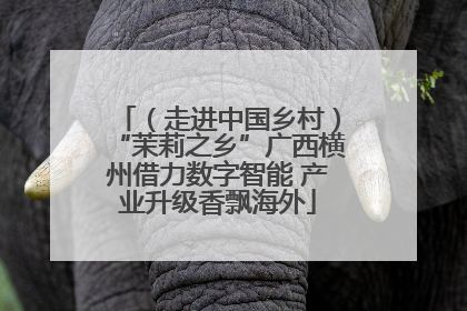 （走进中国乡村）“茉莉之乡”广西横州借力数字智能 产业升级香飘海外