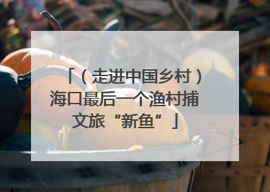 （走进中国乡村）海口最后一个渔村捕文旅“新鱼”