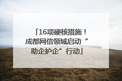 16项硬核措施！成都网信领域启动“助企护企”行动