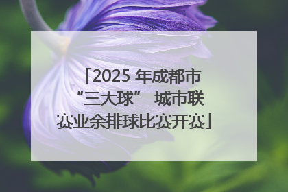 2025 年成都市 “三大球” 城市联赛业余排球比赛开赛
