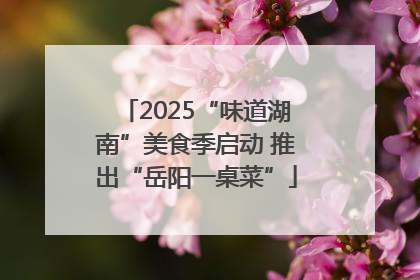 2025“味道湖南”美食季启动 推出“岳阳一桌菜”