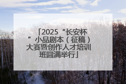2025“长安杯”小品剧本（征稿）大赛暨创作人才培训班圆满举行