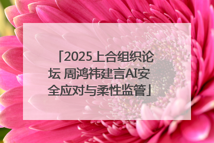 2025上合组织论坛 周鸿祎建言AI安全应对与柔性监管