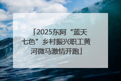 2025东阿“蓝天七色”乡村振兴职工黄河微马激情开跑
