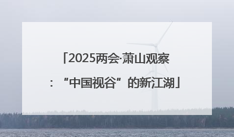 2025两会·萧山观察：“中国视谷”的新江湖