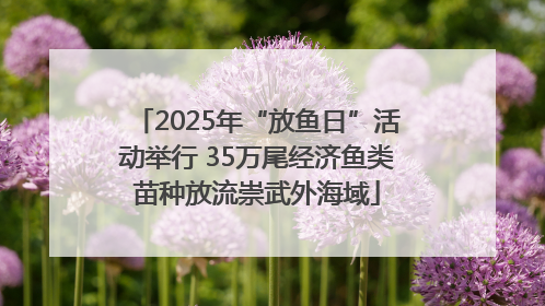 2025年“放鱼日”活动举行 35万尾经济鱼类苗种放流崇武外海域