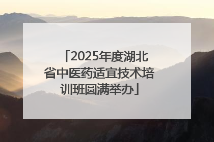 2025年度湖北省中医药适宜技术培训班圆满举办