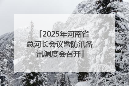2025年河南省总河长会议暨防汛备汛调度会召开