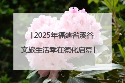 2025年福建省溪谷文旅生活季在德化启幕