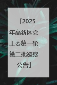 2025年高新区党工委第一轮第二批巡察公告