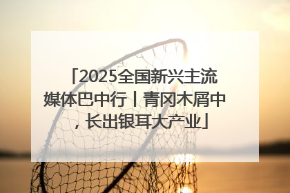 2025全国新兴主流媒体巴中行丨青冈木屑中，长出银耳大产业