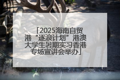 2025海南自贸港“逐浪计划”港澳大学生暑期实习香港专场宣讲会举办