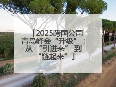 2025跨国公司青岛峰会“升级”：从 “引进来” 到 “链起来”